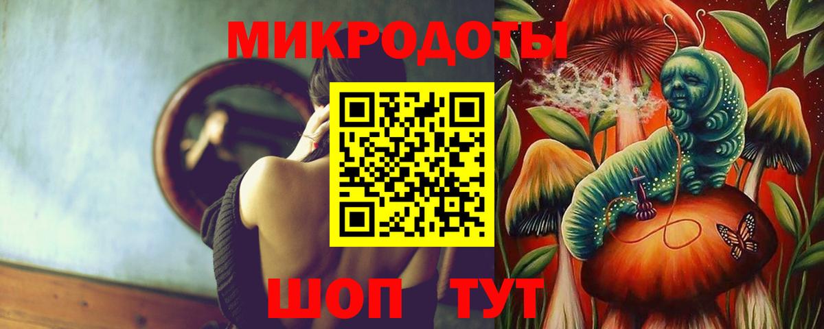 Галлюциногенные грибы Psilocybe Муравленко