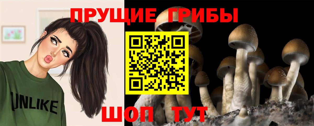 Муравленко  Галлюциногенные грибы ЛСД  Вход с VPN 